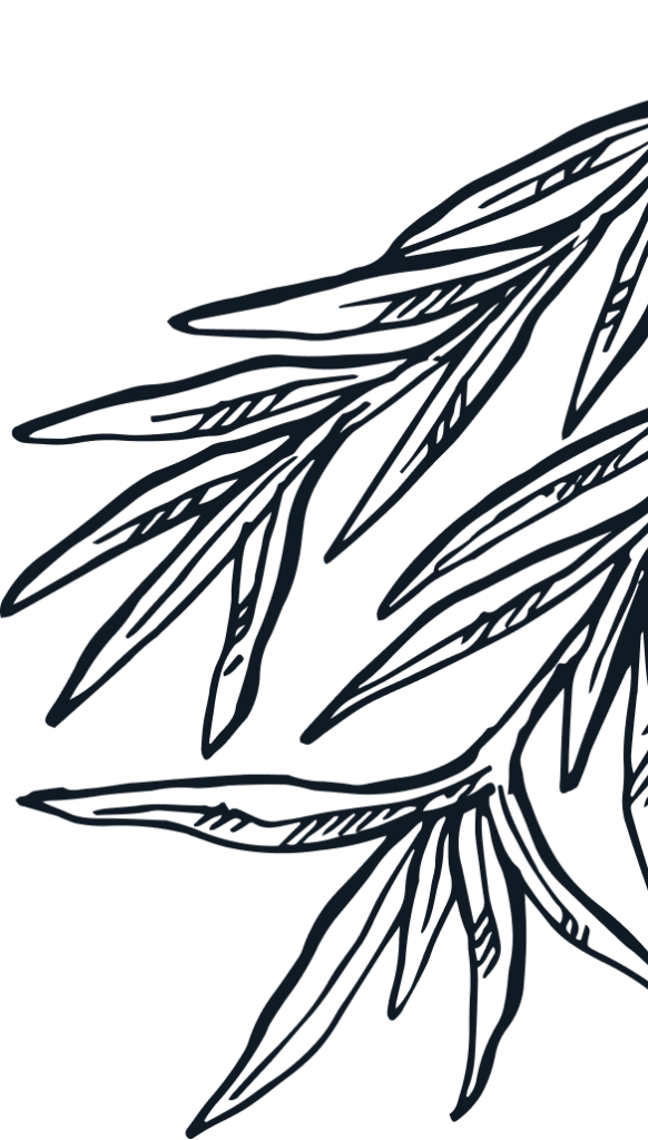 artistic-dark-branch-with-leaves