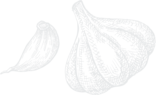 artistic-onion-drawing