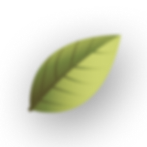 leaf-vector-with-box-shadow-effect